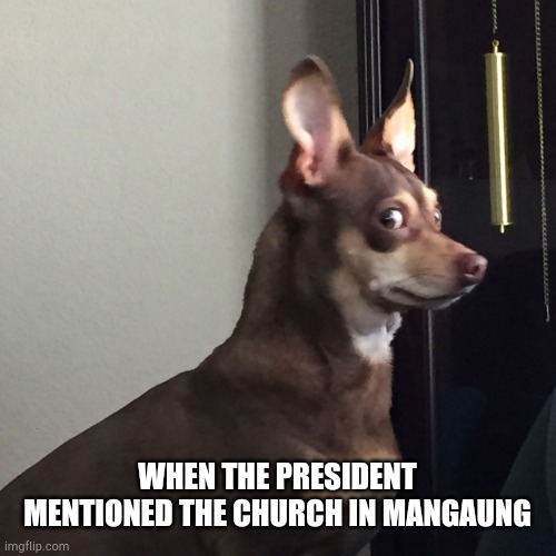 Guilty Dog | WHEN THE PRESIDENT MENTIONED THE CHURCH IN MANGAUNG | image tagged in guilty dog | made w/ Imgflip meme maker