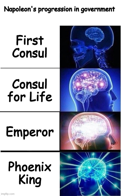 Expanding Brain | Napoleon's progression in government; First Consul; Consul for Life; Emperor; Phoenix King | image tagged in memes,expanding brain,avatar the last airbender,napoleon bonaparte | made w/ Imgflip meme maker