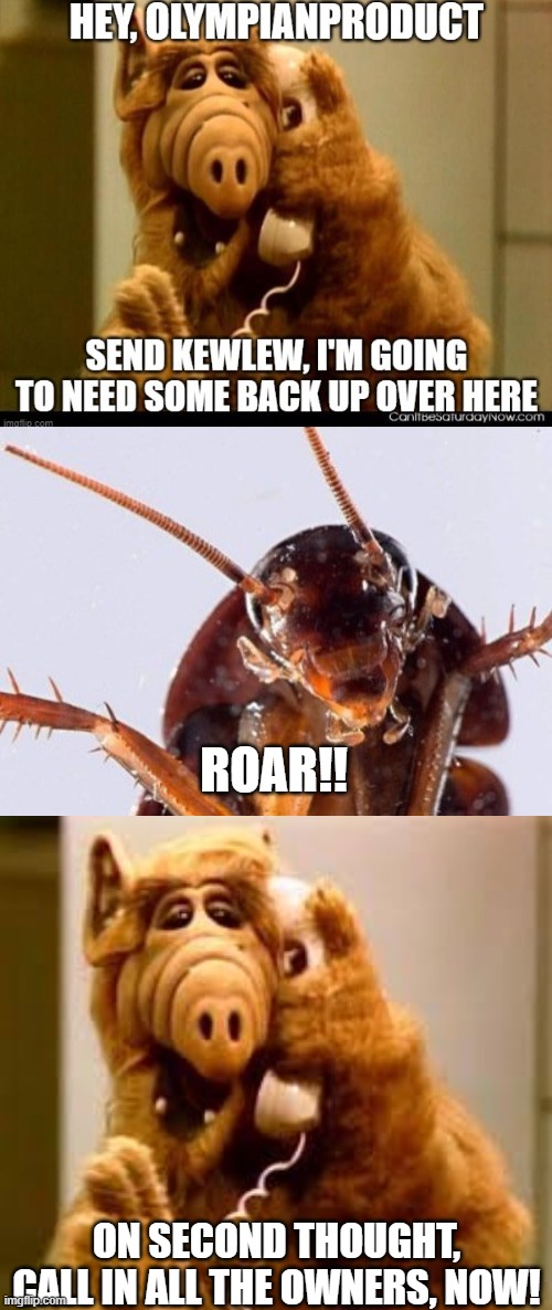 Who remembers this episode? | ROAR!! ON SECOND THOUGHT, CALL IN ALL THE OWNERS, NOW! | image tagged in alf phone | made w/ Imgflip meme maker