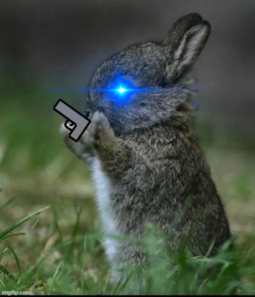 Cute Bunny | image tagged in cute bunny | made w/ Imgflip meme maker