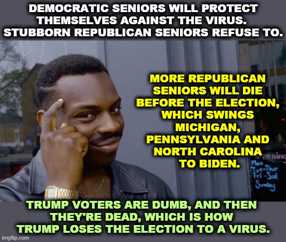 The coronavirus could also devastate GOP seniors in Florida and Georgia. Thank you, Fox News, for handing the election to Biden. | MORE REPUBLICAN 
SENIORS WILL DIE 
BEFORE THE ELECTION, 
WHICH SWINGS 
MICHIGAN, 
PENNSYLVANIA AND 
NORTH CAROLINA 
TO BIDEN. DEMOCRATIC SENIORS WILL PROTECT THEMSELVES AGAINST THE VIRUS. 
STUBBORN REPUBLICAN SENIORS REFUSE TO. TRUMP VOTERS ARE DUMB, AND THEN 
THEY'RE DEAD, WHICH IS HOW 
TRUMP LOSES THE ELECTION TO A VIRUS. | image tagged in memes,roll safe think about it,coronavirus,covid-19,senior,vote | made w/ Imgflip meme maker