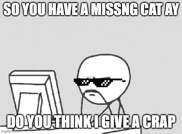 Computer Guy | SO YOU HAVE A MISSNG CAT AY; DO YOU THINK I GIVE A CRAP | image tagged in memes,computer guy | made w/ Imgflip meme maker