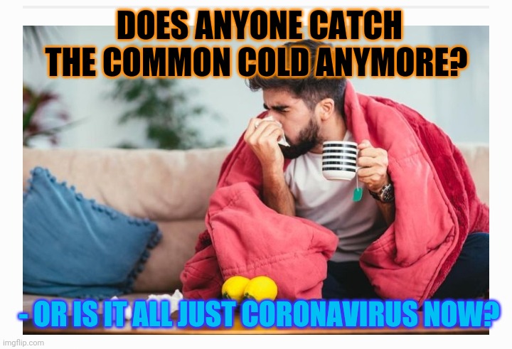 ...Just Wondering | DOES ANYONE CATCH THE COMMON COLD ANYMORE? - OR IS IT ALL JUST CORONAVIRUS NOW? | image tagged in fake news,sucks,i dont need sleep i need answers | made w/ Imgflip meme maker