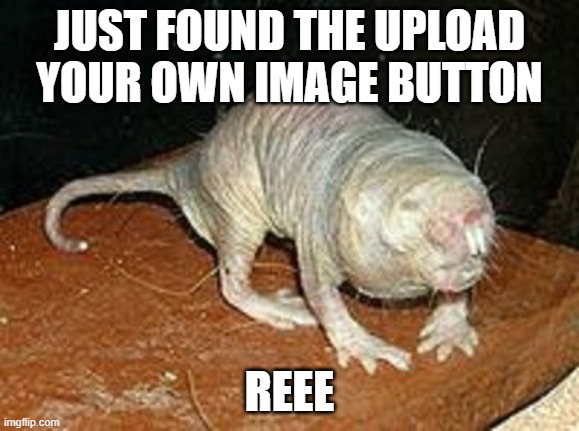 What are you looking at!! | JUST FOUND THE UPLOAD YOUR OWN IMAGE BUTTON; REEE | image tagged in what are you looking at | made w/ Imgflip meme maker