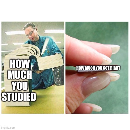 Big book vs Little Book | HOW MUCH YOU STUDIED; HOW MUCH YOU GOT RIGHT | image tagged in big book vs little book | made w/ Imgflip meme maker