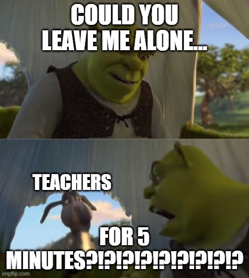 LEAVE ME ALONE TEACHER! | COULD YOU LEAVE ME ALONE... TEACHERS; FOR 5 MINUTES?!?!?!?!?!?!?!?!? | image tagged in could you not ___ for 5 minutes | made w/ Imgflip meme maker