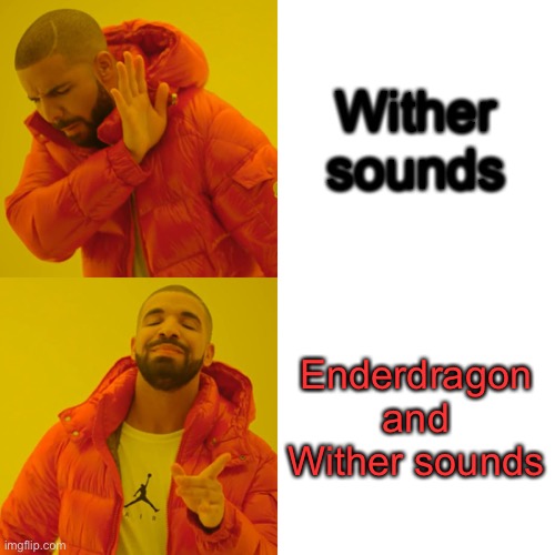 Drake Hotline Bling Meme | Wither sounds Enderdragon and Wither sounds | image tagged in memes,drake hotline bling | made w/ Imgflip meme maker