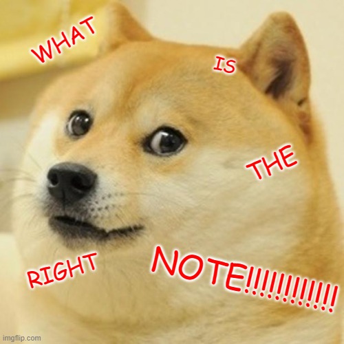 Doge | WHAT; IS; THE; NOTE!!!!!!!!!!!! RIGHT | image tagged in memes,doge | made w/ Imgflip meme maker