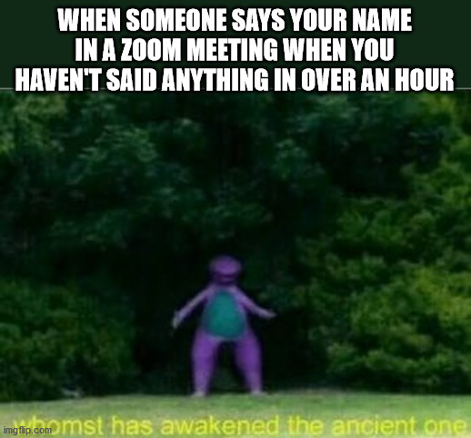 Whomst has awakened the ancient one | WHEN SOMEONE SAYS YOUR NAME IN A ZOOM MEETING WHEN YOU HAVEN'T SAID ANYTHING IN OVER AN HOUR | image tagged in whomst has awakened the ancient one | made w/ Imgflip meme maker