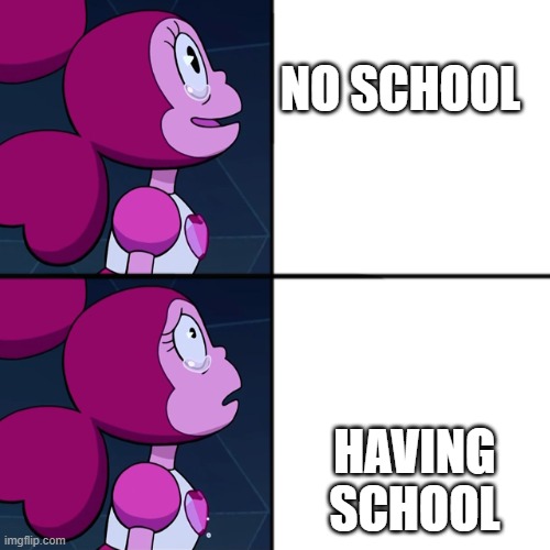 spinel | NO SCHOOL; HAVING SCHOOL | image tagged in spinel | made w/ Imgflip meme maker