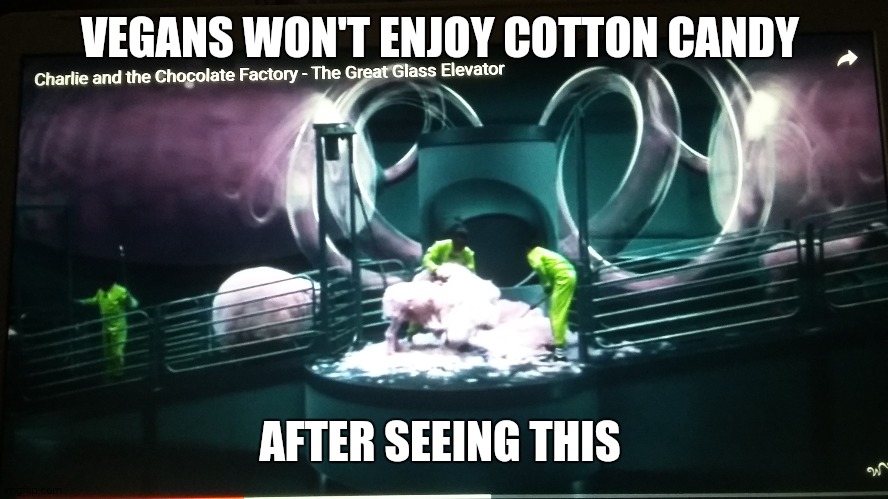 #WoollyWonka | VEGANS WON'T ENJOY COTTON CANDY; AFTER SEEING THIS | image tagged in memes,throwback thursday,charlie and the chocolate factory,warner bros,movies | made w/ Imgflip meme maker