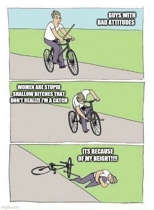 Bike Fall Meme | GUYS WITH BAD ATTITUDES; WOMEN ARE STUPID SHALLOW BITCHES THAT DON'T REALIZE I'M A CATCH; ITS BECAUSE OF MY HEIGHT!!!! | image tagged in bike fall | made w/ Imgflip meme maker