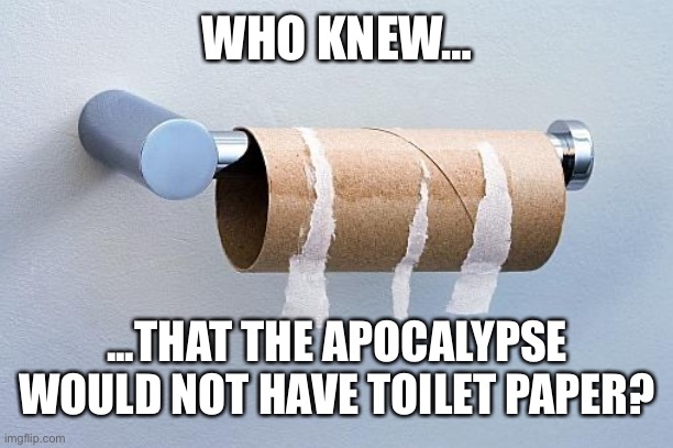 Apocalypse toilet paper | WHO KNEW…; ...THAT THE APOCALYPSE WOULD NOT HAVE TOILET PAPER? | image tagged in no more toilet paper,apocalypse | made w/ Imgflip meme maker