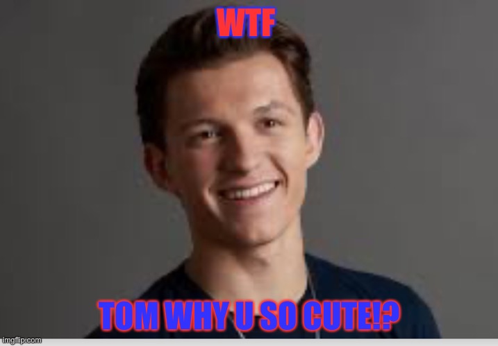 WTF; TOM WHY U SO CUTE!? | image tagged in tom holland,cute | made w/ Imgflip meme maker