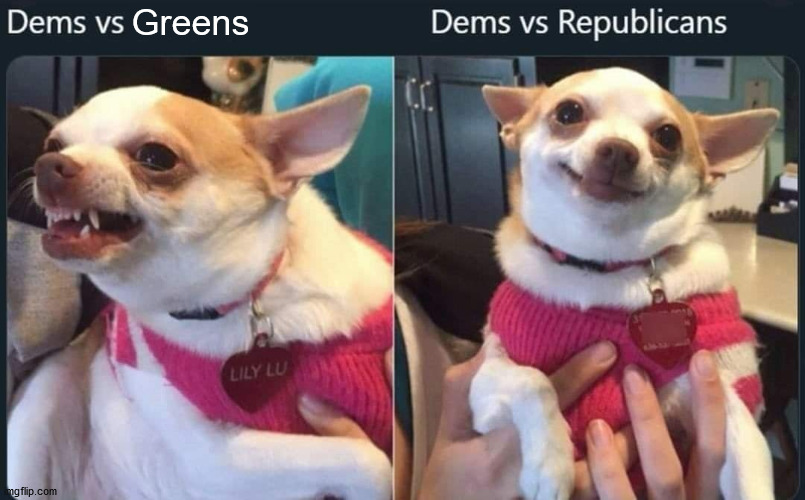 Greens | image tagged in democrats,green party,republicans | made w/ Imgflip meme maker