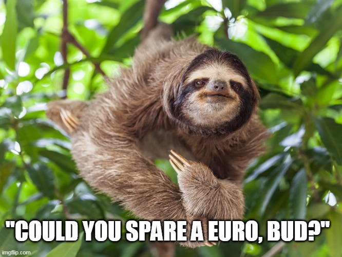sloth | "COULD YOU SPARE A EURO, BUD?" | image tagged in sloth | made w/ Imgflip meme maker