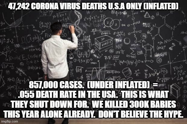 Math | 47,242 CORONA VIRUS DEATHS U.S.A ONLY (INFLATED); 857,000 CASES.  (UNDER INFLATED)  = .055 DEATH RATE IN THE USA.  THIS IS WHAT THEY SHUT DOWN FOR.  WE KILLED 300K BABIES THIS YEAR ALONE ALREADY.  DON'T BELIEVE THE HYPE. | image tagged in math,corona virus | made w/ Imgflip meme maker