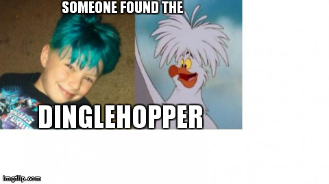 SOMEONE FOUND THE  DINGLEHOPPER | made w/ Imgflip meme maker