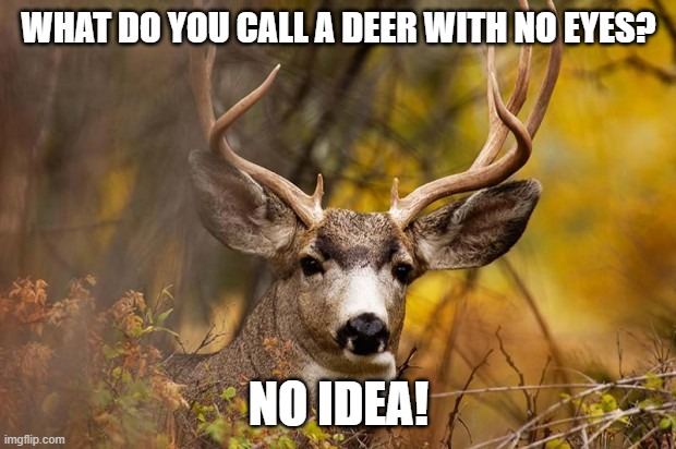 deer meme | WHAT DO YOU CALL A DEER WITH NO EYES? NO IDEA! | image tagged in deer meme | made w/ Imgflip meme maker