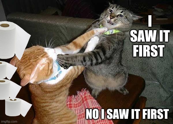 Two cats fighting for real | I SAW IT FIRST; NO I SAW IT FIRST | image tagged in two cats fighting for real | made w/ Imgflip meme maker