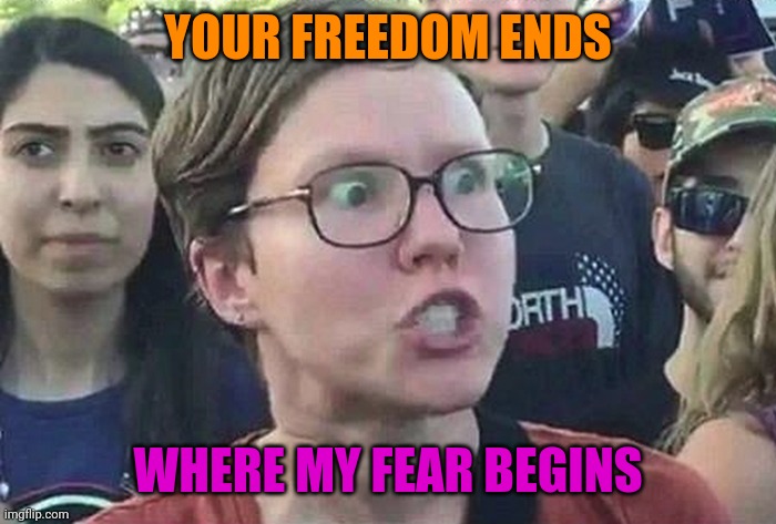 Triggered Liberal | YOUR FREEDOM ENDS WHERE MY FEAR BEGINS | image tagged in triggered liberal | made w/ Imgflip meme maker