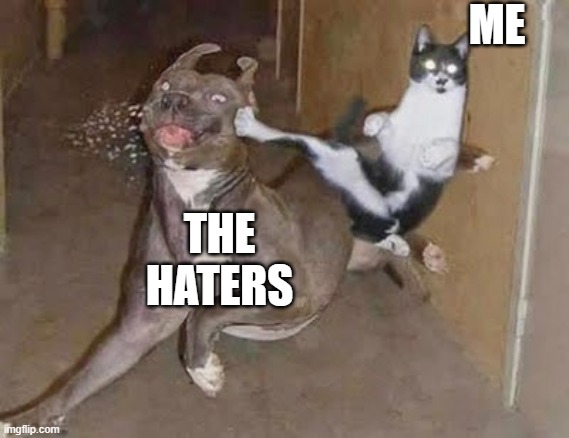 GET REKT | ME; THE HATERS | image tagged in get rekt | made w/ Imgflip meme maker