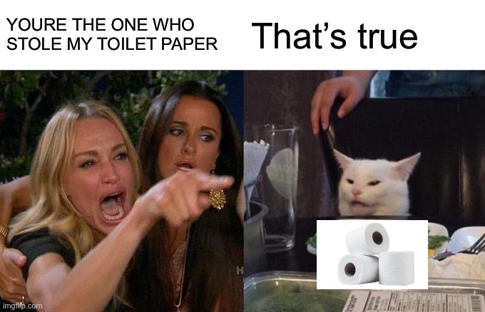 Woman Yelling At Cat Meme | YOURE THE ONE WHO STOLE MY TOILET PAPER; That’s true | image tagged in memes,woman yelling at cat | made w/ Imgflip meme maker