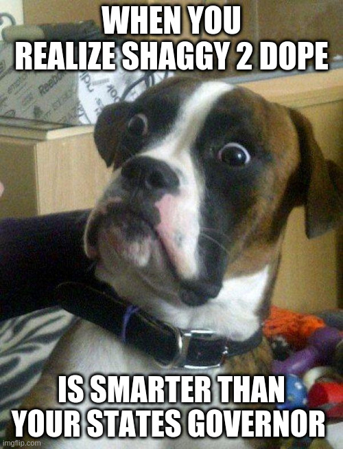 Brian Kempt is an idiot | WHEN YOU REALIZE SHAGGY 2 DOPE; IS SMARTER THAN YOUR STATES GOVERNOR | image tagged in blankie the shocked dog | made w/ Imgflip meme maker