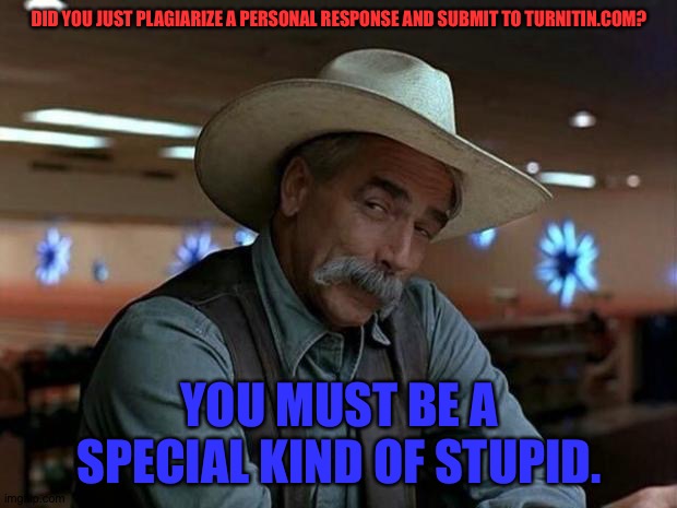 Sam E. | DID YOU JUST PLAGIARIZE A PERSONAL RESPONSE AND SUBMIT TO TURNITIN.COM? YOU MUST BE A SPECIAL KIND OF STUPID. | image tagged in special kind of stupid | made w/ Imgflip meme maker
