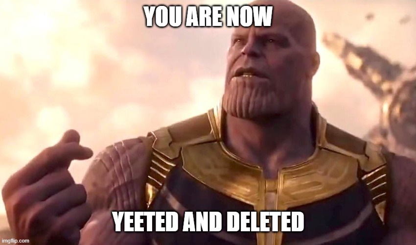 thanos snap | YOU ARE NOW; YEETED AND DELETED | image tagged in thanos snap | made w/ Imgflip meme maker