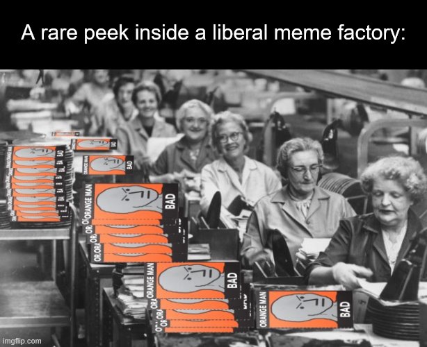 A rare peek inside a liberal meme factory: | made w/ Imgflip meme maker