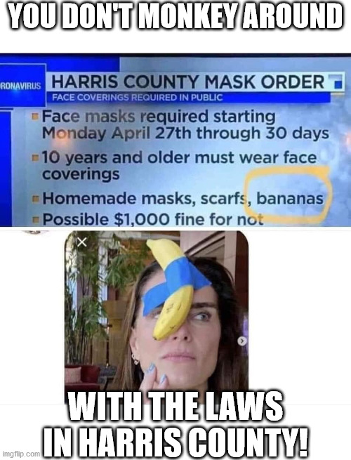 YOU DON'T MONKEY AROUND; WITH THE LAWS IN HARRIS COUNTY! | image tagged in bananas,covid-19,facemask | made w/ Imgflip meme maker