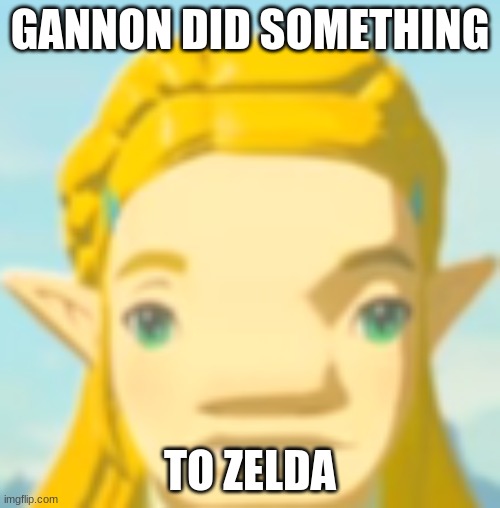 New Zelda Face | GANNON DID SOMETHING; TO ZELDA | image tagged in memes,zelda,why | made w/ Imgflip meme maker