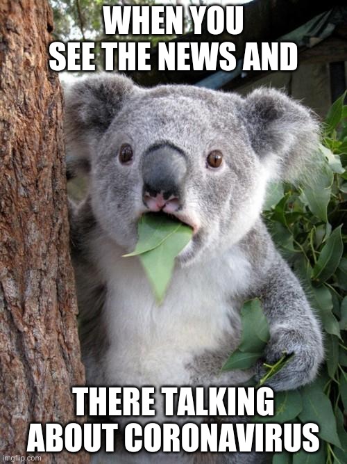 Surprised Koala Meme | WHEN YOU SEE THE NEWS AND; THERE TALKING ABOUT CORONAVIRUS | image tagged in memes,surprised koala | made w/ Imgflip meme maker