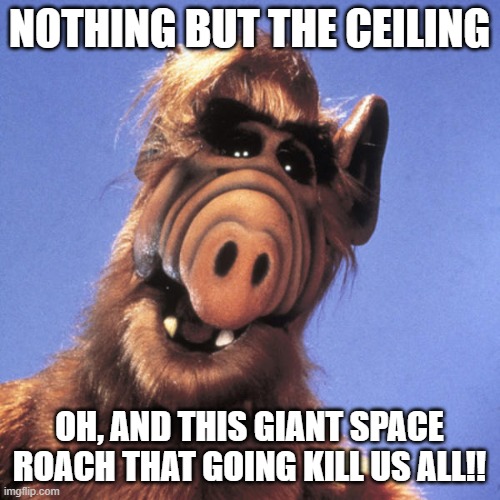 Alf  | NOTHING BUT THE CEILING OH, AND THIS GIANT SPACE ROACH THAT GOING KILL US ALL!! | image tagged in alf | made w/ Imgflip meme maker