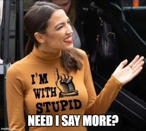 A.O.C. | NEED I SAY MORE? | image tagged in aoc,stupid,congress,democrat | made w/ Imgflip meme maker