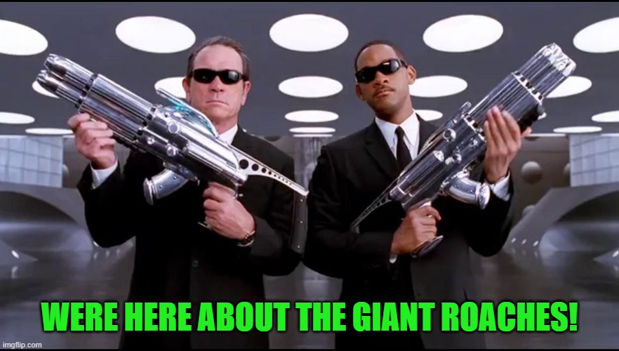 WERE HERE ABOUT THE GIANT ROACHES! | made w/ Imgflip meme maker