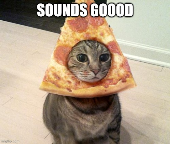 pizza cat | SOUNDS GOOOD | image tagged in pizza cat | made w/ Imgflip meme maker