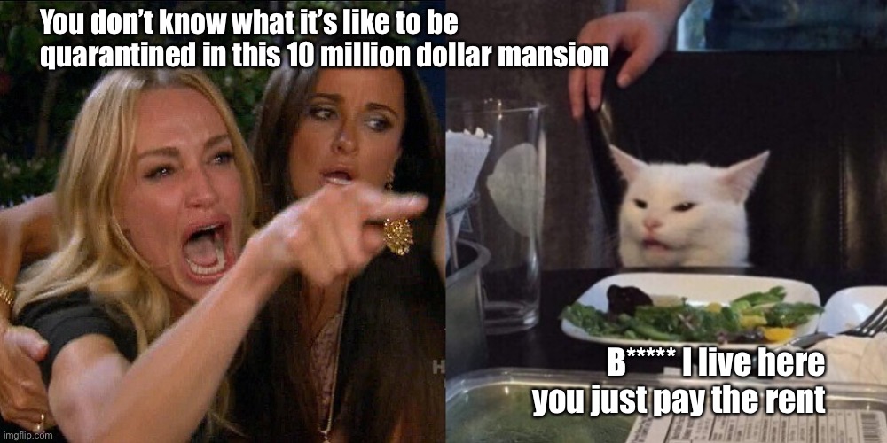 Hollywood |  You don’t know what it’s like to be quarantined in this 10 million dollar mansion; B***** I live here
 you just pay the rent | image tagged in woman yelling at cat | made w/ Imgflip meme maker