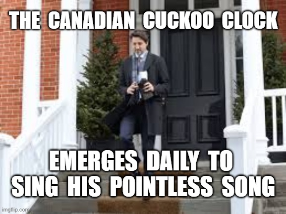 THE  CANADIAN  CUCKOO  CLOCK; EMERGES  DAILY  TO  SING  HIS  POINTLESS  SONG | image tagged in justin trudeau,covid-19,coronavirus,embarrassment | made w/ Imgflip meme maker