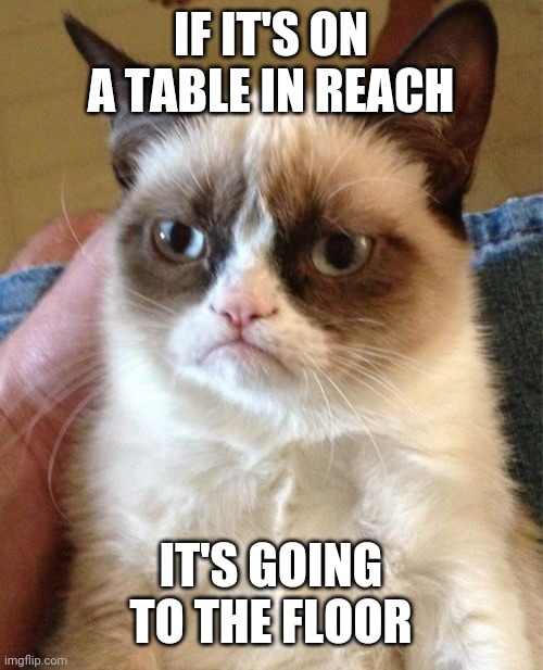 Grumpy Cat Meme | IF IT'S ON A TABLE IN REACH IT'S GOING TO THE FLOOR | image tagged in memes,grumpy cat | made w/ Imgflip meme maker
