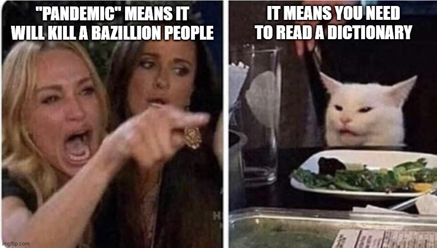 Ignorance is Deadly | IT MEANS YOU NEED TO READ A DICTIONARY; "PANDEMIC" MEANS IT WILL KILL A BAZILLION PEOPLE | image tagged in lady yelling at cat,pandemic,covid-19,coronavirus,memes,2020 | made w/ Imgflip meme maker