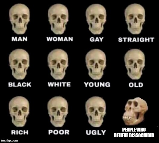 monkey skull | PEOPLE WHO BELIEVE DISSOCIADID | image tagged in monkey skull | made w/ Imgflip meme maker