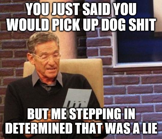 Maury Lie Detector | YOU JUST SAID YOU WOULD PICK UP DOG SHIT; BUT ME STEPPING IN DETERMINED THAT WAS A LIE | image tagged in maury lie detector | made w/ Imgflip meme maker