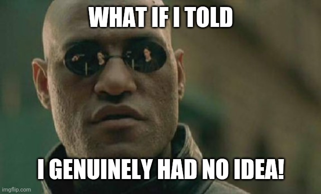WHAT IF I TOLD I GENUINELY HAD NO IDEA! | image tagged in memes,matrix morpheus | made w/ Imgflip meme maker