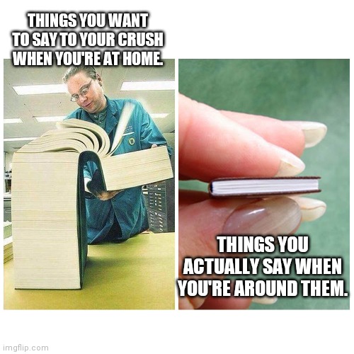 Hey...Nice weather, isn't it? | THINGS YOU WANT TO SAY TO YOUR CRUSH WHEN YOU'RE AT HOME. THINGS YOU ACTUALLY SAY WHEN YOU'RE AROUND THEM. | image tagged in big book vs little book,dating,crush | made w/ Imgflip meme maker