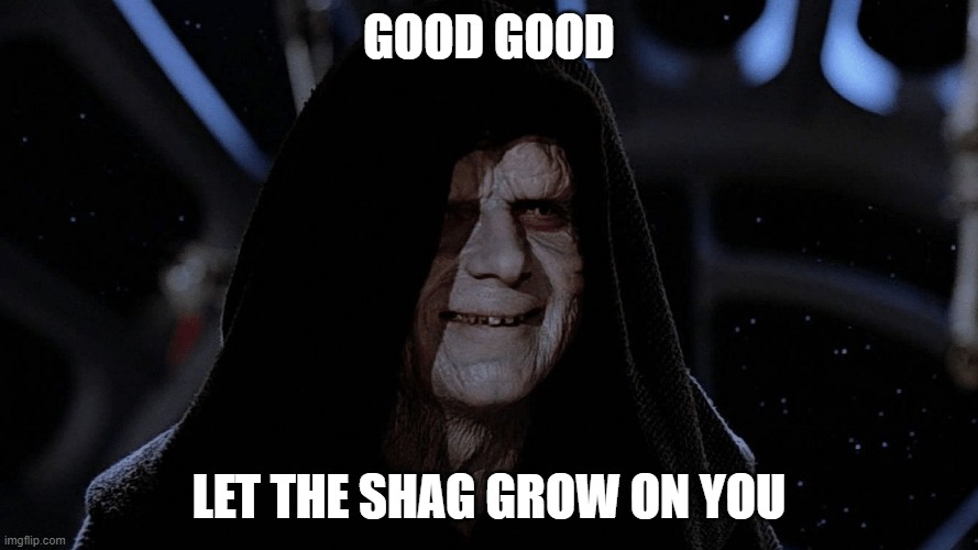 Make bathroom shag carpet great again | GOOD GOOD; LET THE SHAG GROW ON YOU | image tagged in carpet,shag,emperor palpatine | made w/ Imgflip meme maker