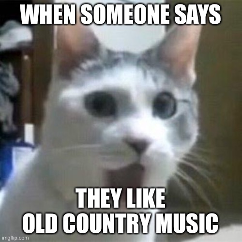 Don’t judge me | WHEN SOMEONE SAYS; THEY LIKE OLD COUNTRY MUSIC | image tagged in shocked cat,haha,funny memes,cats | made w/ Imgflip meme maker