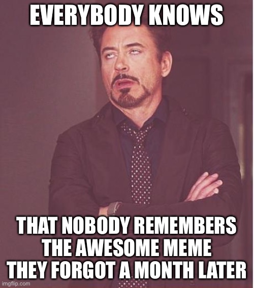 Face You Make Robert Downey Jr Meme | EVERYBODY KNOWS THAT NOBODY REMEMBERS THE AWESOME MEME THEY FORGOT A MONTH LATER | image tagged in memes,face you make robert downey jr | made w/ Imgflip meme maker