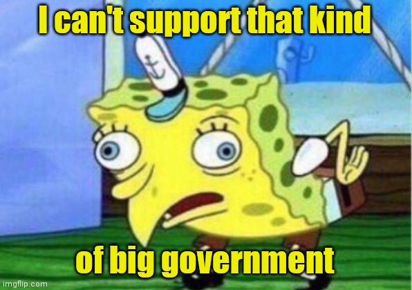 Mocking Spongebob Meme | I can't support that kind of big government | image tagged in memes,mocking spongebob | made w/ Imgflip meme maker